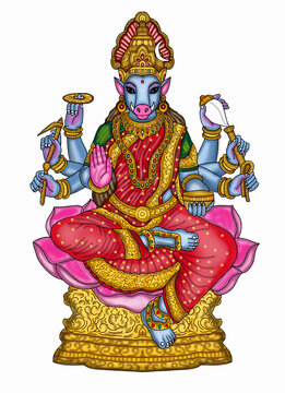 hand drawn digital art of goddess varahi