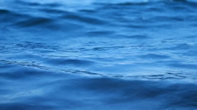 Calm Blue Sea Waves Serene Ocean Surface Video.