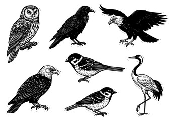 Obraz premium A collection of seven different bird species illustrated