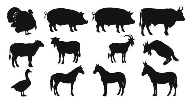 Collection of Various Farm Animal Silhouettes.