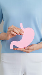 Fototapeta premium Person holding pink stomach model for stomach health awareness, digestive care education, gi wellness prevention, gut health guidance, medical nutrition support, patient counseling, screening
