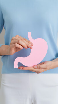 Person holding pink stomach model for stomach health awareness, digestive care education, gi wellness prevention, gut health guidance, medical nutrition support, patient counseling, screening