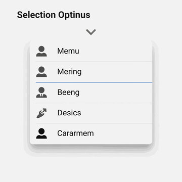 Selection Optinus Dropdown Menu with User Options.
