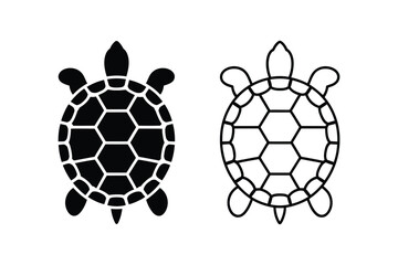 Obraz premium turtle shell anatomy comparison illustration, detailed diagram showing carapace and plastron structure with labeled sections for biology education zoology study and scientific vector illustration.