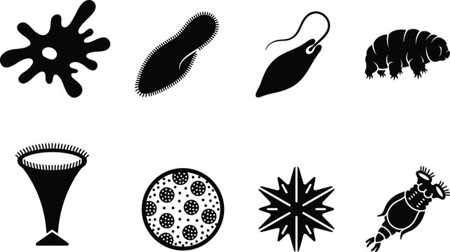 Microorganisms silhouettes vector set featuring amoeba paramecium tardigrade euglena and rotifer icons for microbiology science education laboratory research and biology design