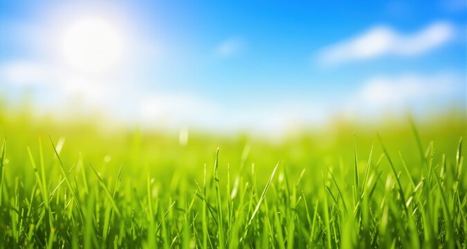 nature background with sunny spring meadow blur background blue sky to green grass
