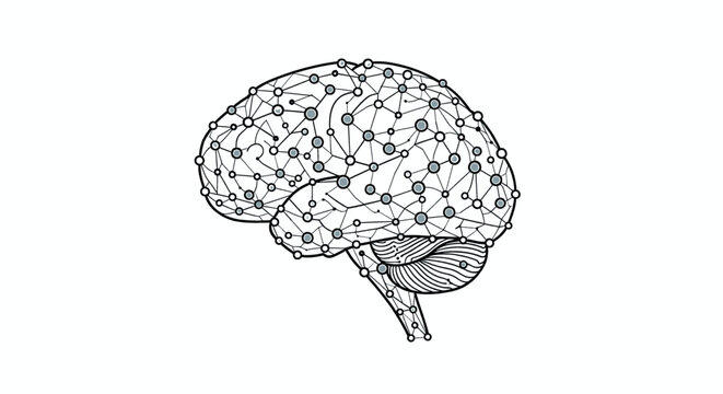 Human Brain with Neural Network Connections Illustration.
