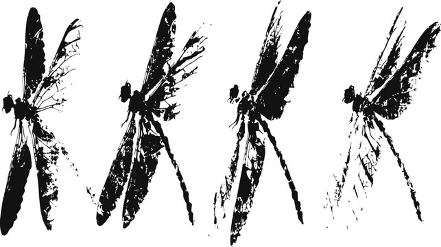 black silhouette set of dragonflies in different angles with detailed delicate wings