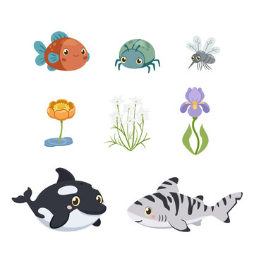 Cute chubby aquatic animals set. Flat vector sea turtle, duck, eel, octopus and squid for kids