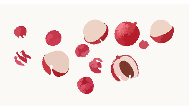 Lychee and raspberries splash vector yogurt milk fruit illustration