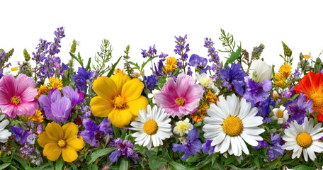 Fototapeta premium PNG Vibrant floral garden arrangement