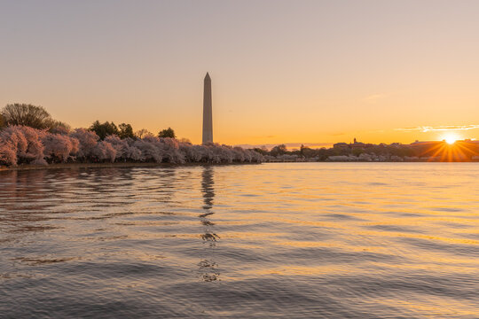 Sunrise Over Tidal Basin in Spring During Cherry Blossom Peak Bloom in Washington DC, with Sunburst