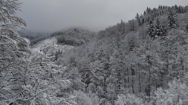 Aerial drone snowy Apuseni mountain peaks Stana de Vale wide shot
