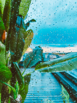Raindrops on a window glass against the backdrop of tropical green leaves and blue sky - an atmospheric view of nature on a rainy day through wet glass.