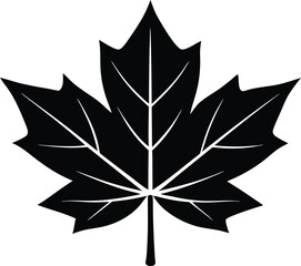 Obraz premium Canadian maple leaf symbol icon vector graphic design