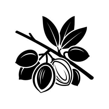 Black and white illustration of shea nuts on a branch with leaves.