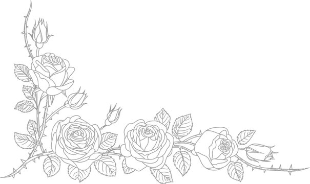 Elegant rose corner floral border line art, detailed decorative outline illustration with leaves and thorns for vintage ornamental frame design.