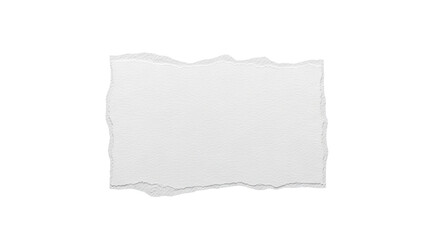 Fototapeta premium Torn White Paper Texture with Jagged Edges