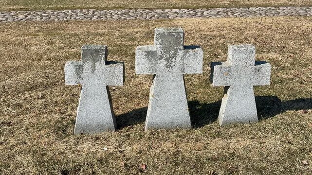 Three granite crosses dry grass cemetery, weathered memorial stones casting long shadows across pale on spring field.