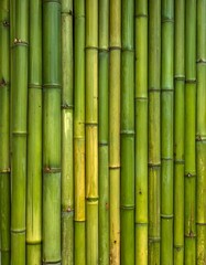 Obraz premium A vertical composition showcasing vibrant green bamboo stalks arranged closely together. Some stalks exhibit shades of yellow and brown