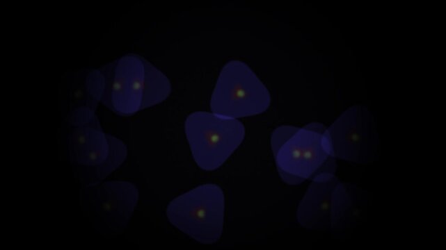 Microscopic view of several purple cells with yellow centers on a black background.