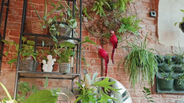 Rustic brick plant shelf full of hanging ferns, potted succulents, ceramic pots and red parrot ornament on metal rack warm cozy shop corner ideal for botanical styling with florist backdrop.