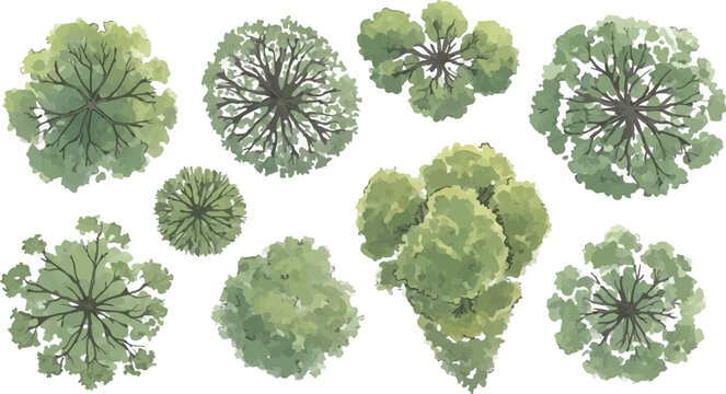 Watercolor tree top view collection, 9 architectural landscape plan symbols, green forest canopy vector set for site mapping and garden design