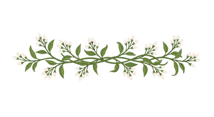 Obraz premium Long symmetrical horizontal floral border with thin green vines and small delicate white flowers or buds arranged in an elegant composition.