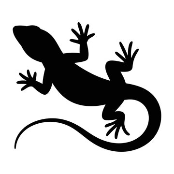 Vector of a lizard in a crawling position with long tail