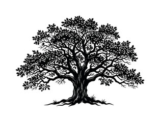 Fototapeta premium Black silhouette of a mighty oak tree. This detailed vector graphic with roots and branches symbolizes life, growth, and strength. Ideal for a logo or nature-themed emblem.
