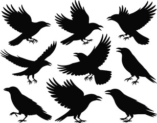 Obraz premium Crow bird silhouette vector set with flying and landing poses, black wildlife illustration collection