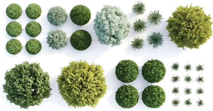 Top view landscape architecture symbols, green trees and garden shrubs vector set, aerial site plan vegetation for architectural rendering