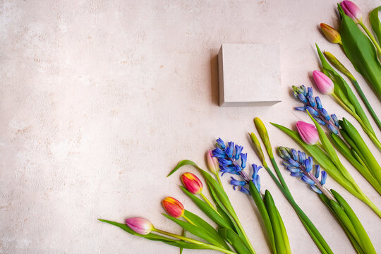 Row colorful spring flowers arranged flat against a light pink background. Top view with space for text.