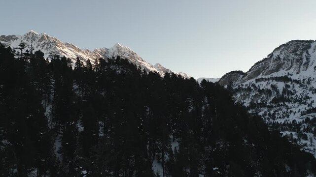 Pyrenees scenary with snow covered peaks and pine trees standing over white terrain