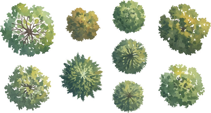 Watercolor tree top view set, architectural landscape plan symbols, green forest canopy vector elements for site mapping and garden design