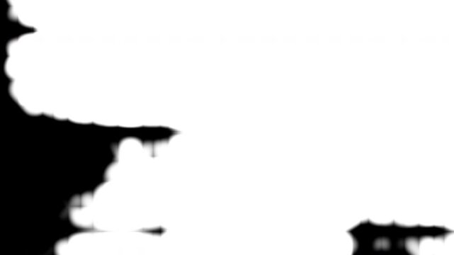 Gray-Scott Reaction Diffusion Organic Growth Patterns Abstract Monochrome 4K Video Background