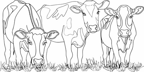 A group of cows stands in a field depicted in a simple line drawing © Bipul