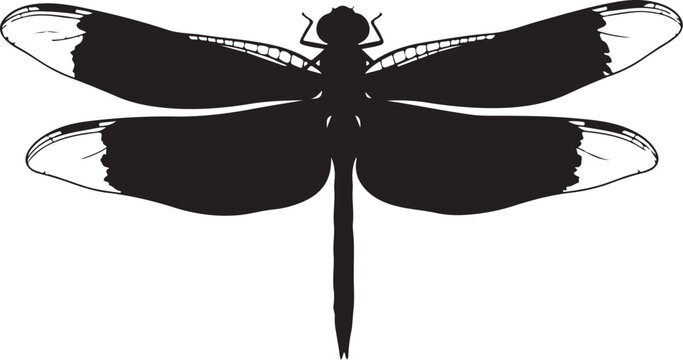 Black dragonfly silhouette with white accents on wings