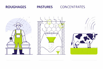 Agricultural illustration depicting roughages pastures concentrates a farmer and a cow © Bipul