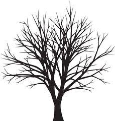Obraz premium Black silhouette of a bare tree branches white background 1