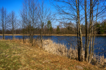 Zbiornik wodny Wyżary, Puszcza Knyszyńska, Podlasie, Polska © podlaski49