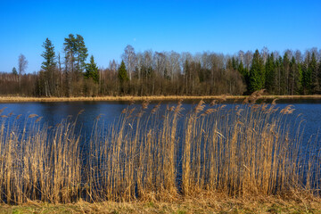 Zbiornik wodny Wyżary, Puszcza Knyszyńska, Podlasie, Polska © podlaski49