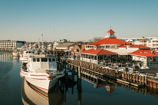 The harbor in Lewes, Delaware