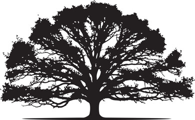Obraz premium Black silhouette of a tree with sprawling branches and leaves
