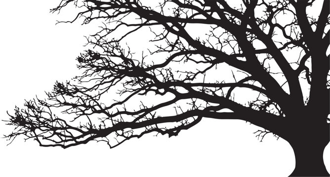 Black silhouette of bare tree with many branches on white background