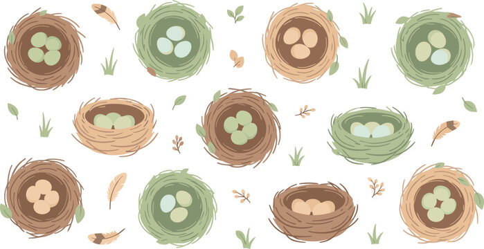 Bird nests with eggs collection natural spring elements feathers grass rustic wildlife vector illustration set