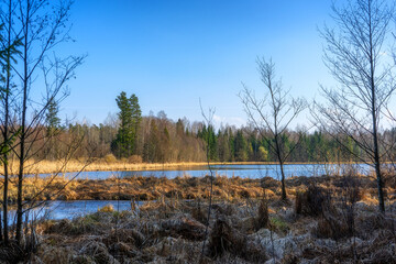 Zbiornik wodny Wyżary, Puszcza Knyszyńska, Podlasie, Polska © podlaski49
