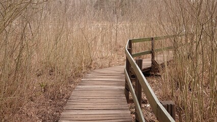 Kładka prowadząca do jeziora w śród uschniętych konarów krzewów © tomo81