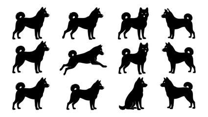 Shiba Inu dog silhouettes set, 12 vector animal elements in various poses, black husky and akita canine shapes for pet branding and logo design © DesignHost