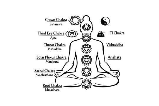 Illustration of the seven main chakras in the human body aligned with their Sanskrit names Vector